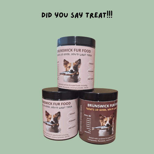 Why Fish Based Dog Treats Are a Healthy Choice for Your Dog