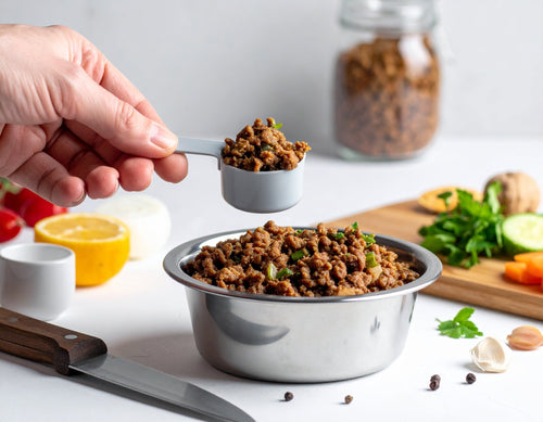 Hidden Nutritional Risks at Summer BBQs Every Dog Owner Should Know Of - Brunswick Fur Food