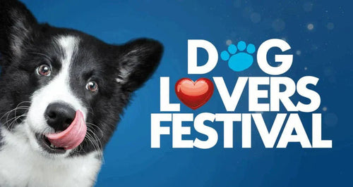 Lucky Draw Winners Announced: Thank You Melbourne Dog Lovers! - Brunswick Fur Food