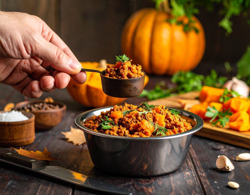 Dog food recipes - Pumpkin and Beef Bowl - Brunswick Fur Food