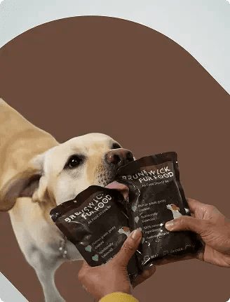 Immunity-Boosting Diets for Dogs: What Works & What to Avoid - Brunswick Fur Food