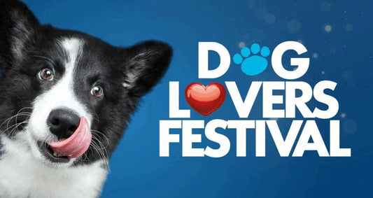 Lucky Draw Winners Announced: Thank You Melbourne Dog Lovers! - Brunswick Fur Food