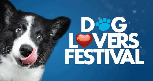 Lucky Draw Winners Announced: Thank You Melbourne Dog Lovers! - Brunswick Fur Food