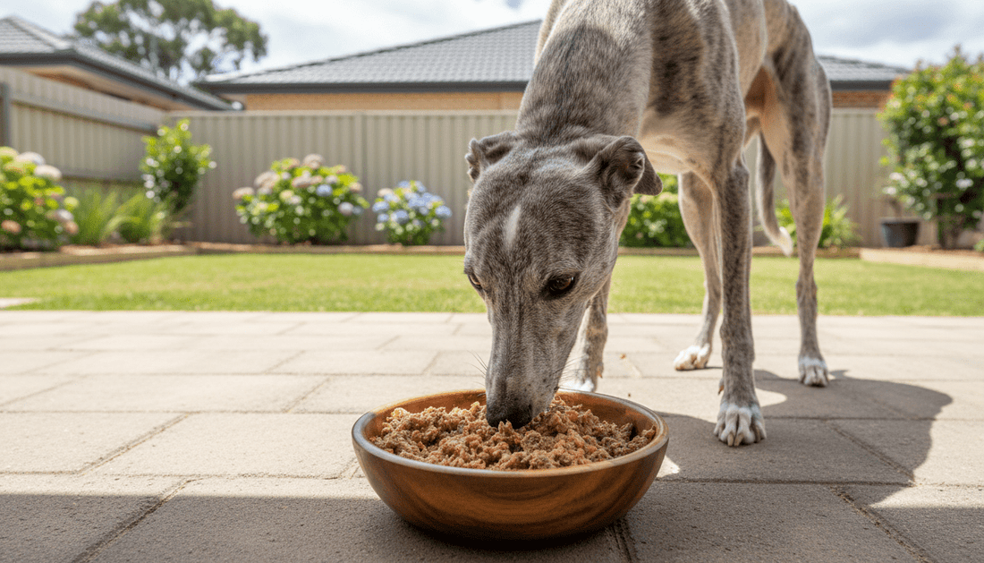 The Science-Backed 4-Step Gut Reset Plan for Dogs - Brunswick Fur Food