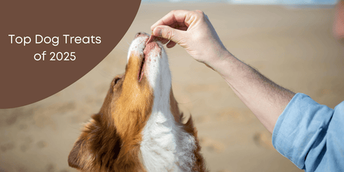 Top 5 healthy dog treats Aussie pet parents are loving in 2025 - Brunswick Fur Food