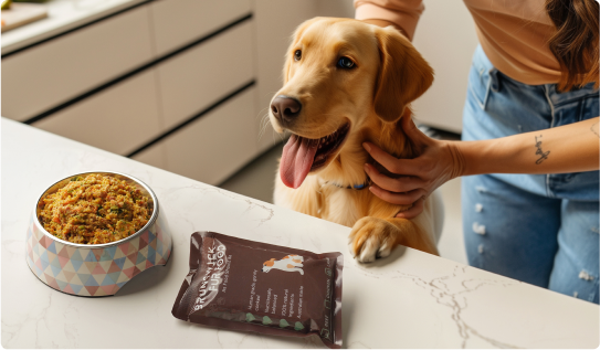 Why Brunswick Fur Food is the right choice 