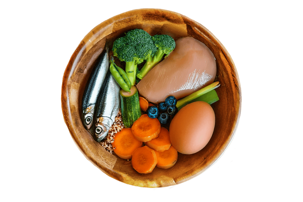 BFF Meal Plan - Variety Bowl (7 packs per week) - Brunswick Fur Food