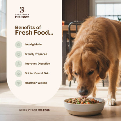 BFF Monthly Meal Box - Variety Bowl (28 Packs) - Brunswick Fur Food