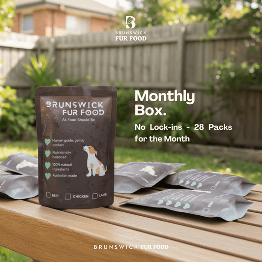 BFF Monthly Meal Box - Variety Bowl (28 Packs) - Brunswick Fur Food