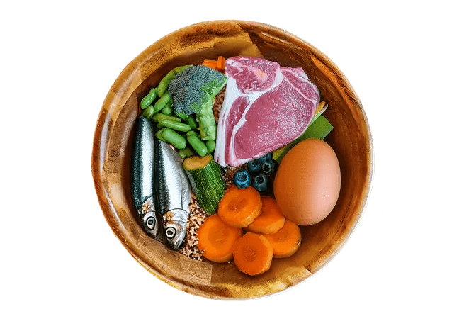 Fresh dog food subscription - Brunswick Fur Food