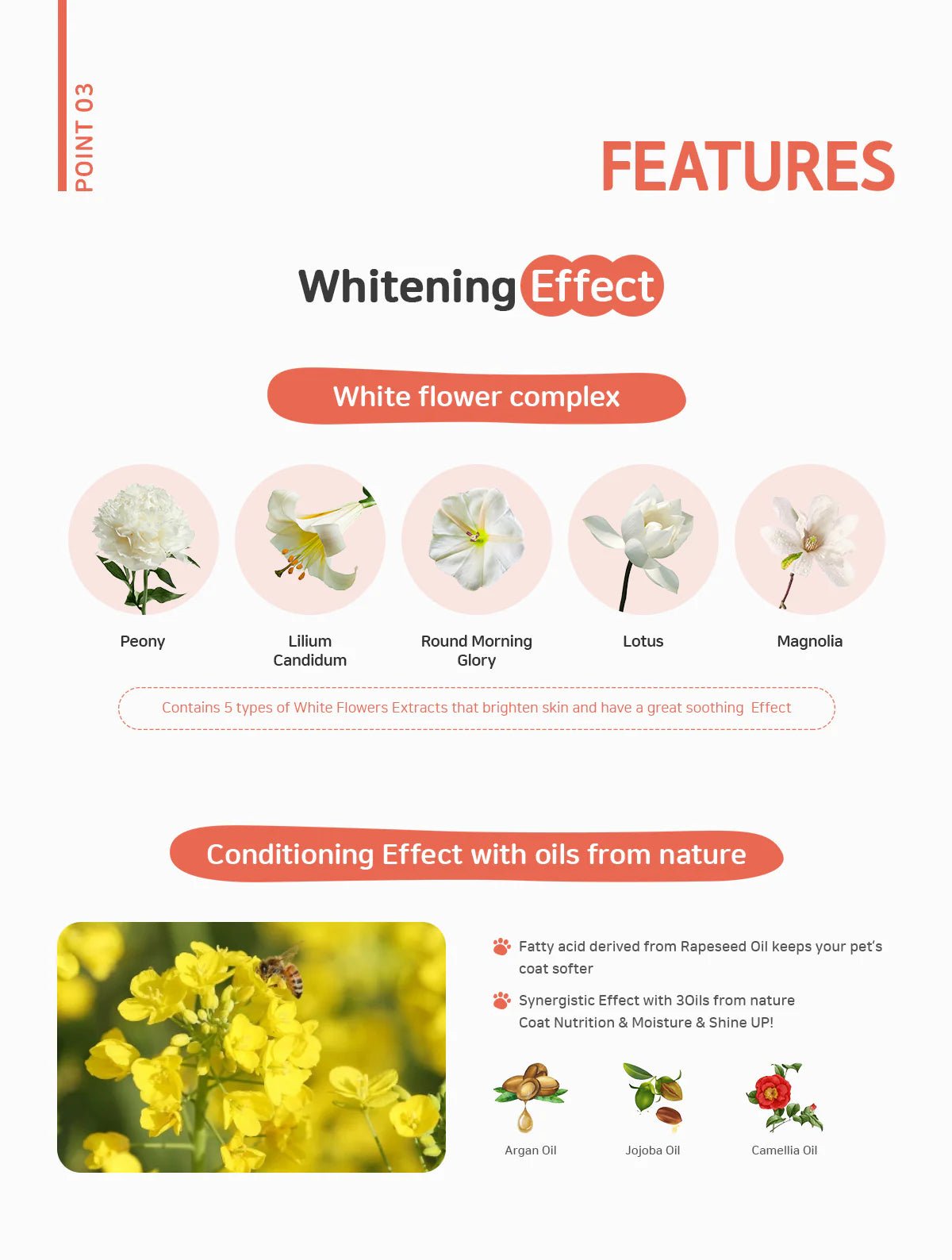 Innom - Pet Conditioner - Brunswick Fur Food