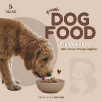 Kangaroo Bowl (14 packs) - Brunswick Fur Food