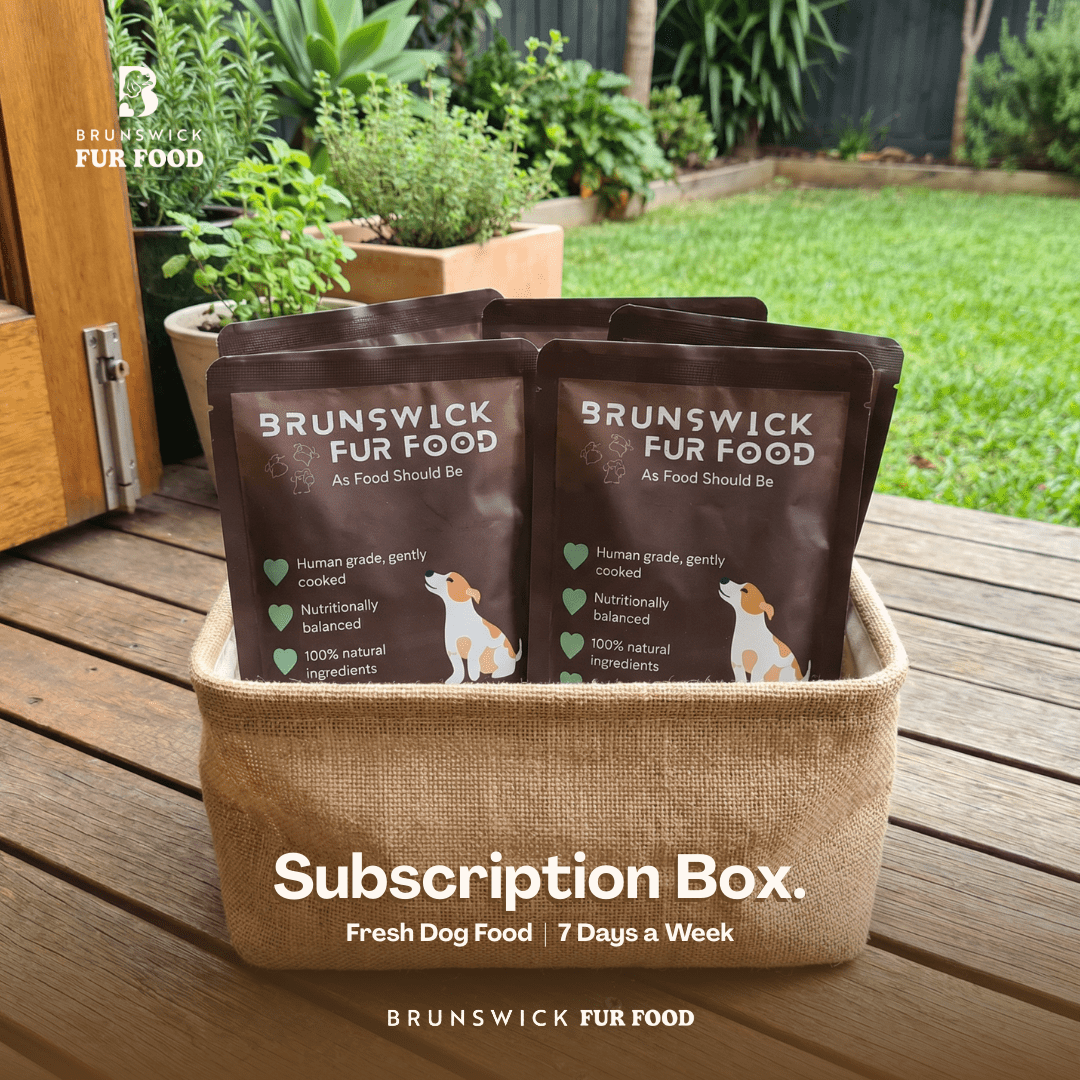 Kangaroo Bowl (14 packs) - Brunswick Fur Food