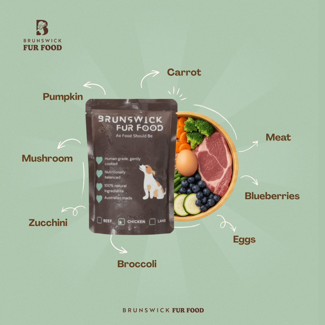 Weekly Fresh Dog Food Starter Pack - Brunswick Fur Food