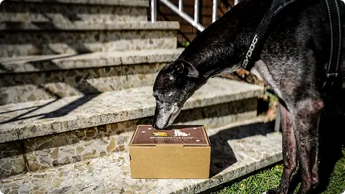 Find the right portion for your dog
